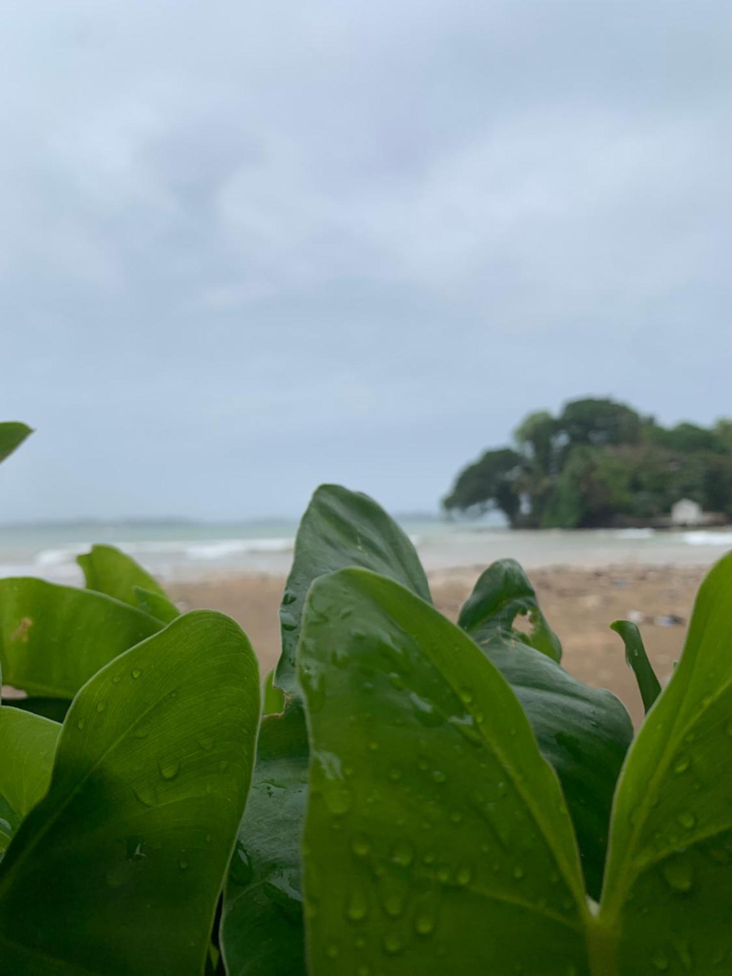 The Orange House Weligama Hotel Exterior photo